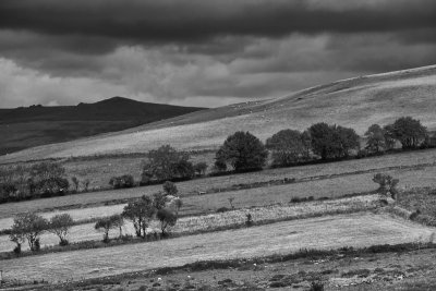 Dartmoor landscape
