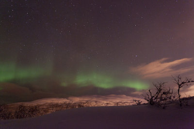 Aurora borealis over Kaldfjord