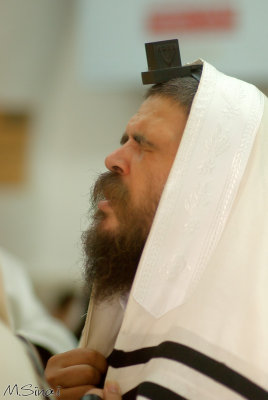 _SIN8179a.jpg