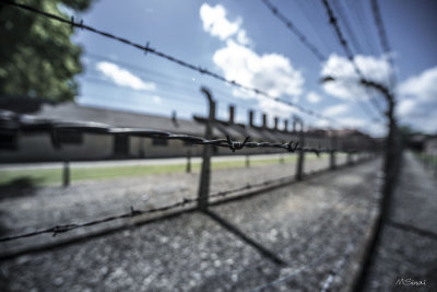 auschwitz_birkinao