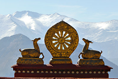 Drepung Monastery 