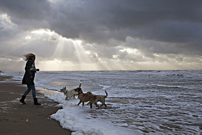 Beach Castricum