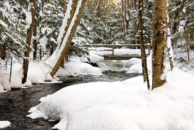 Devine-Creek-web.jpg