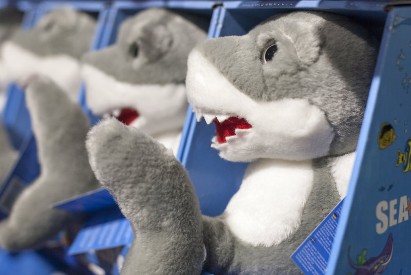 School of sharks. Probably the great white shark :)