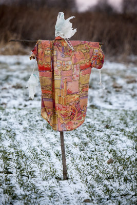 Aloha shirt :)  -15C / 5F