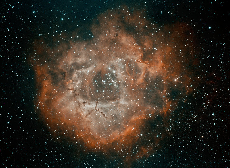 RosetteHasynGO3_65ps1.jpg