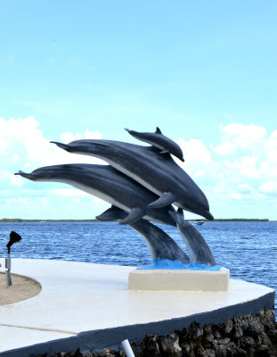 DSC_1530_Fotor.jpg