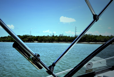 DSC_1586_Fotor.jpg