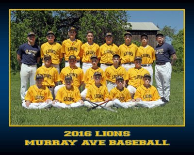 Murray Ave Baseball 2016 