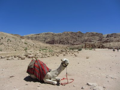 Petra