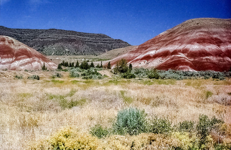 Painted Hills, Oregon