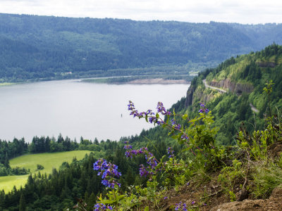 Cape Horn Highway in the background