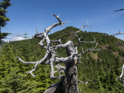 Crag and Onion peak