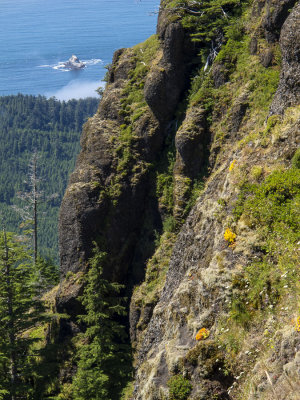 Cliffs and ocean beyond