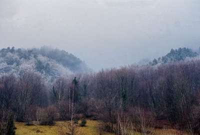 Freezing fog on the Bergstrasse