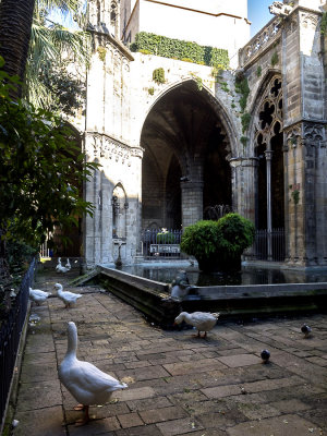 cathedral geese