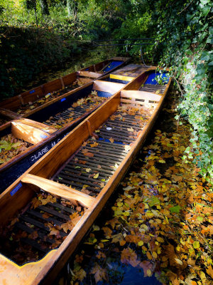 Autumn leaves in the punting boats