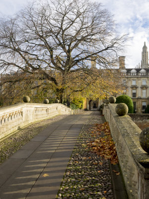 Autumn bridge to Clare's College