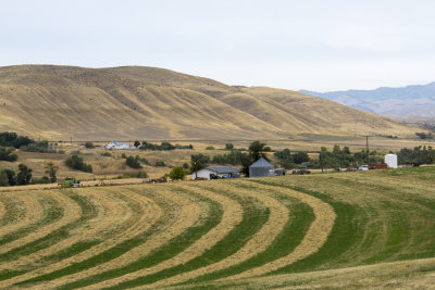 Idaho farmland
