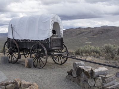 Trail wagon