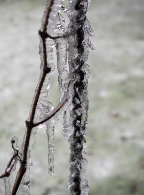 frozen chain