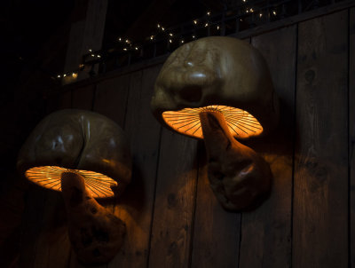 mushroom lights