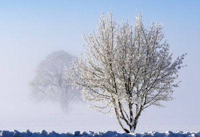 Frost and fog