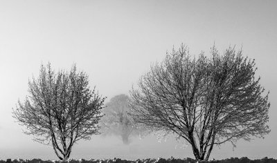 Frost and fog 2