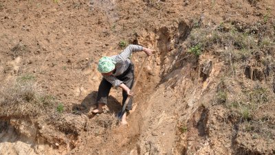 erosion causes land degradation sedimentation of waterways ecological collapse due to loss of upper soil layers