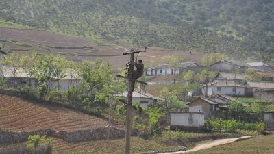 telephone wire repairman