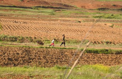 child towing wheelbarrow behind adult