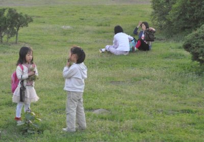 gorgeous little kids picking flowers