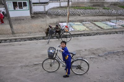 boy in small village in Onchon County South Pyongan Province. not sure what kind of planting in background dpinkston?