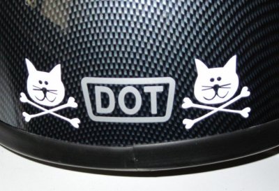 helmet cats 002.JPG