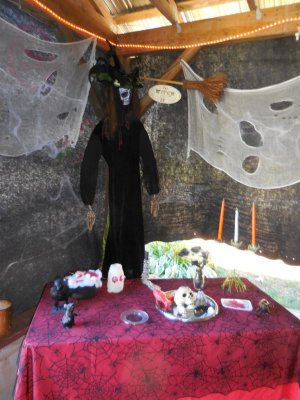 Roost Halloween 2015 14.JPG