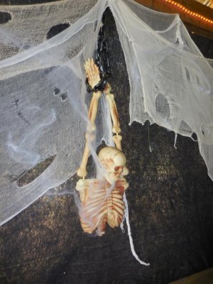 Roost Halloween 2015 15.JPG