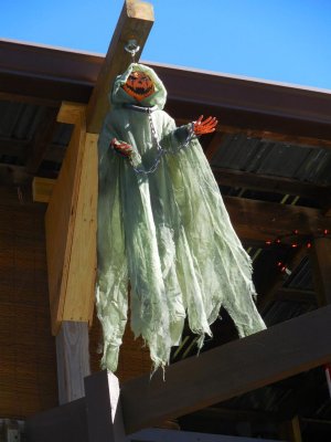 Roost Halloween 2015 26.JPG