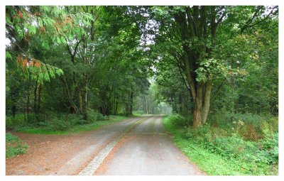 Gosford Forest Park