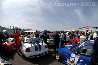 DSC_6824W.jpg