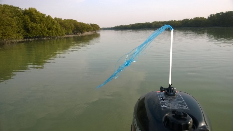 Large mangrove channel