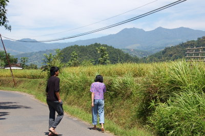 Pinggir jalan desa