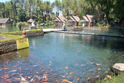 Kolam Ikan