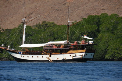 Kapal phinisi terlihat parkir dekat Pulau Rinca