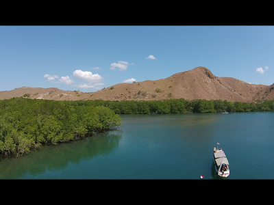 Pulau Rinca
