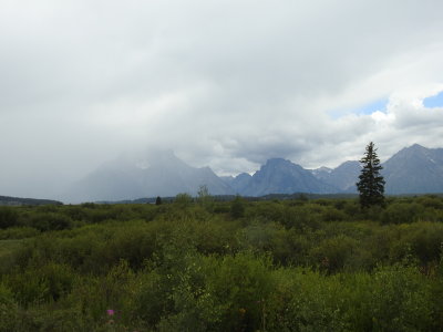 g9/76/410576/3/160872117.uIBTWsli.jpg