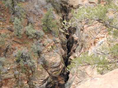 Zion National Park, Utah