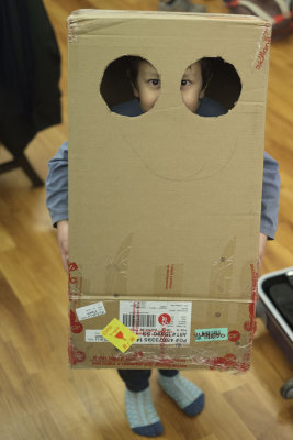 Cardboard Box Fun