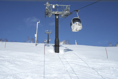 DSCF7318.jpg