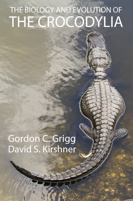 Book cover idea 4.jpg