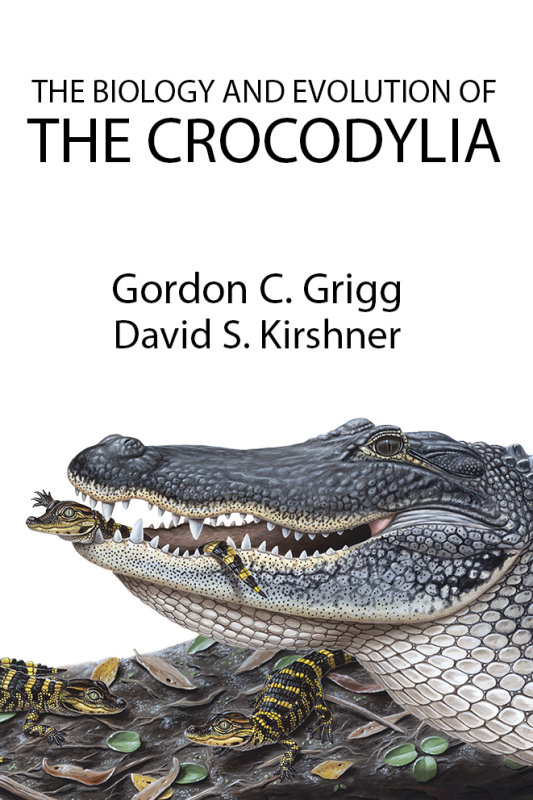 Book cover idea 8.jpg